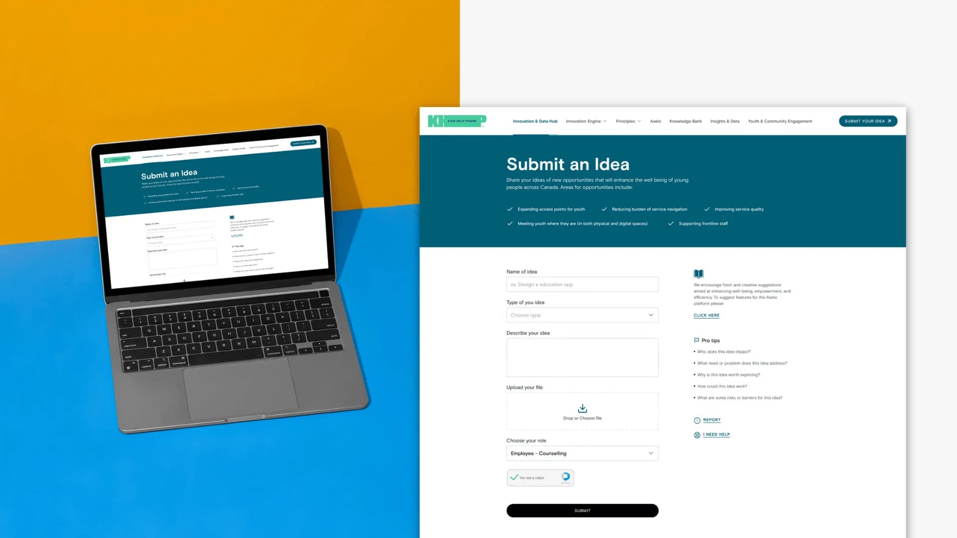 Embedded Submission Integration interface